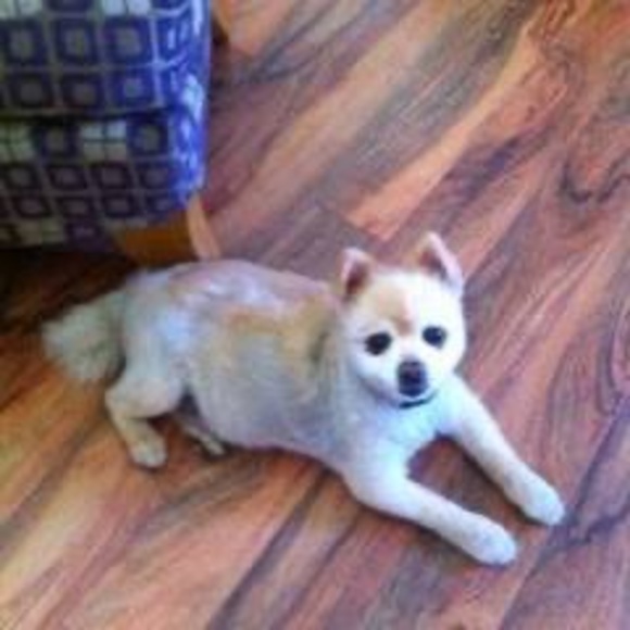 Meet your Posher, Debra - Picture 1 of 1